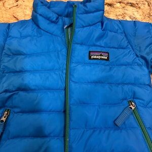 Patagonia Bright Blue Quilted Jacket
